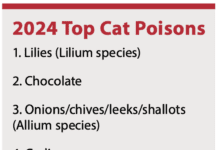 Pet Poison Helpline 2024 Top Cat Poison Cases